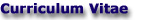 Curriculum Vitae